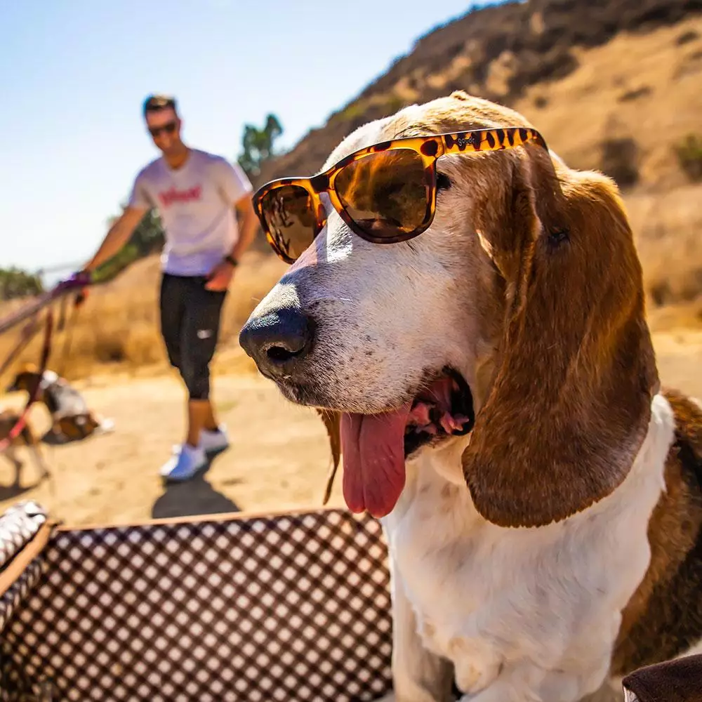 GOODR SUNGLASSES - BOSLEY'S BASSET HOUND DREAMS