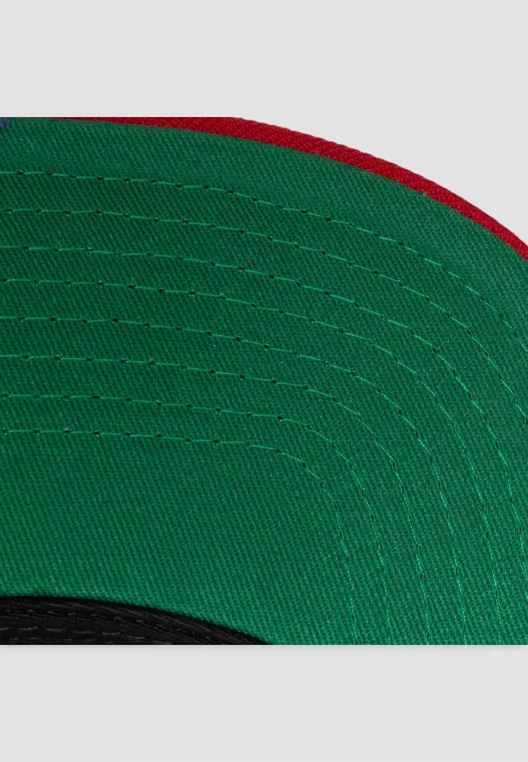 Toronto Raptors Team 2 Tone 2.0 Snapback Cap