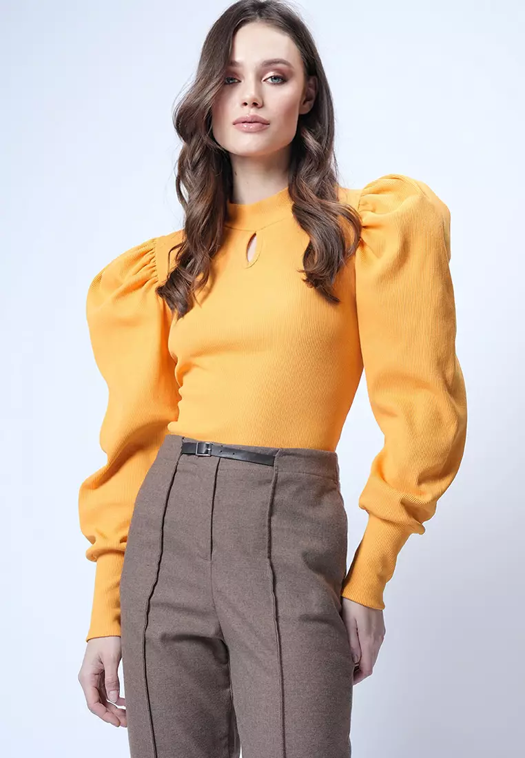 Long Puff Sleeves Top