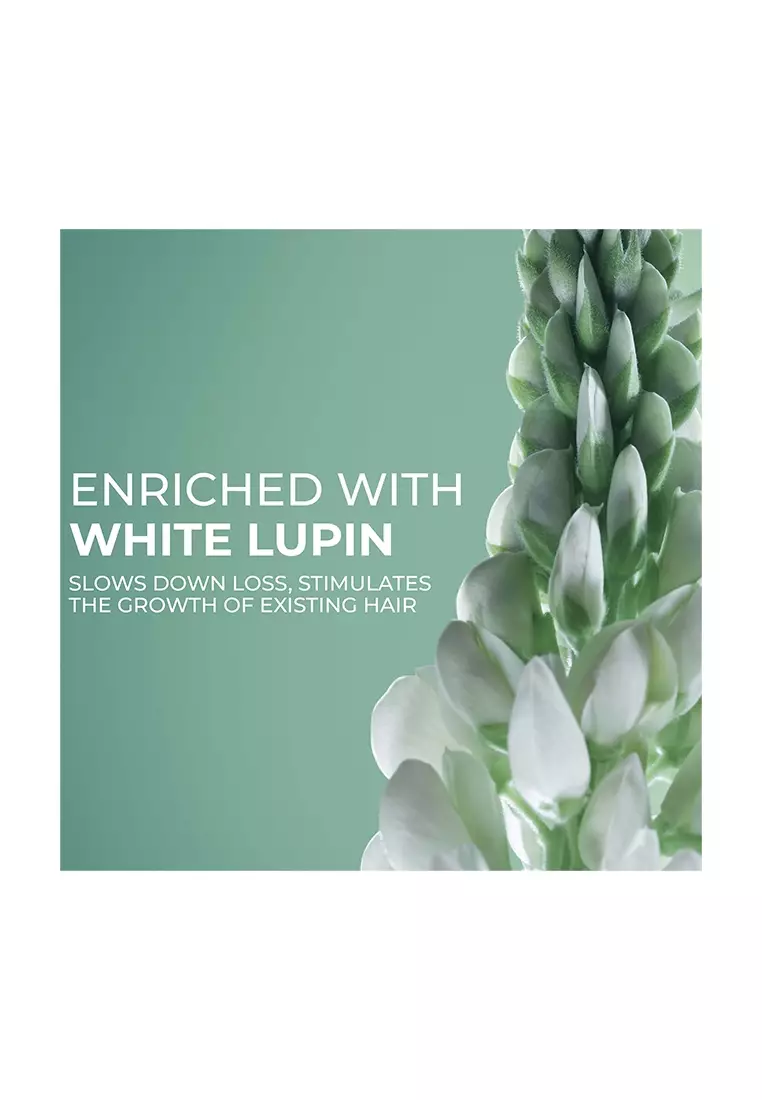 Anti Hair Loss Grower Shampoo 300ml Bundle of 2 Original Hair Care Bestseller for Hair Growth with Proven Effectiveness Sulfate-Free