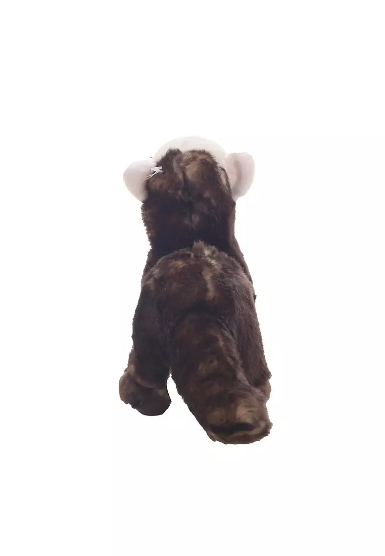 Boneka Binatang Animal Plush Berang Berang Laut Sea Otter Coklat 15x16 cm