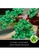 LEGO multi LEGO Creator Expert 10281 Bonsai Tree (878 Pieces). 8AA73TH0CBAA6AGS_6