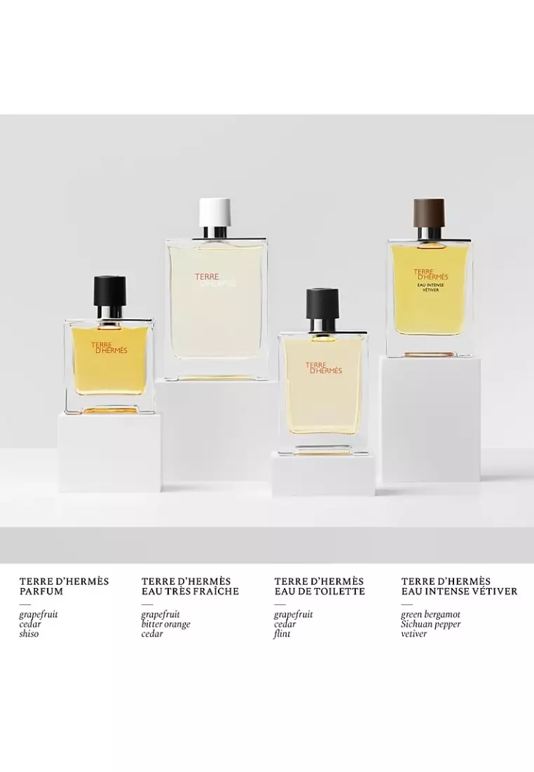 Hermés Terre De Hermés EDT 100 ML - Parfum Pria