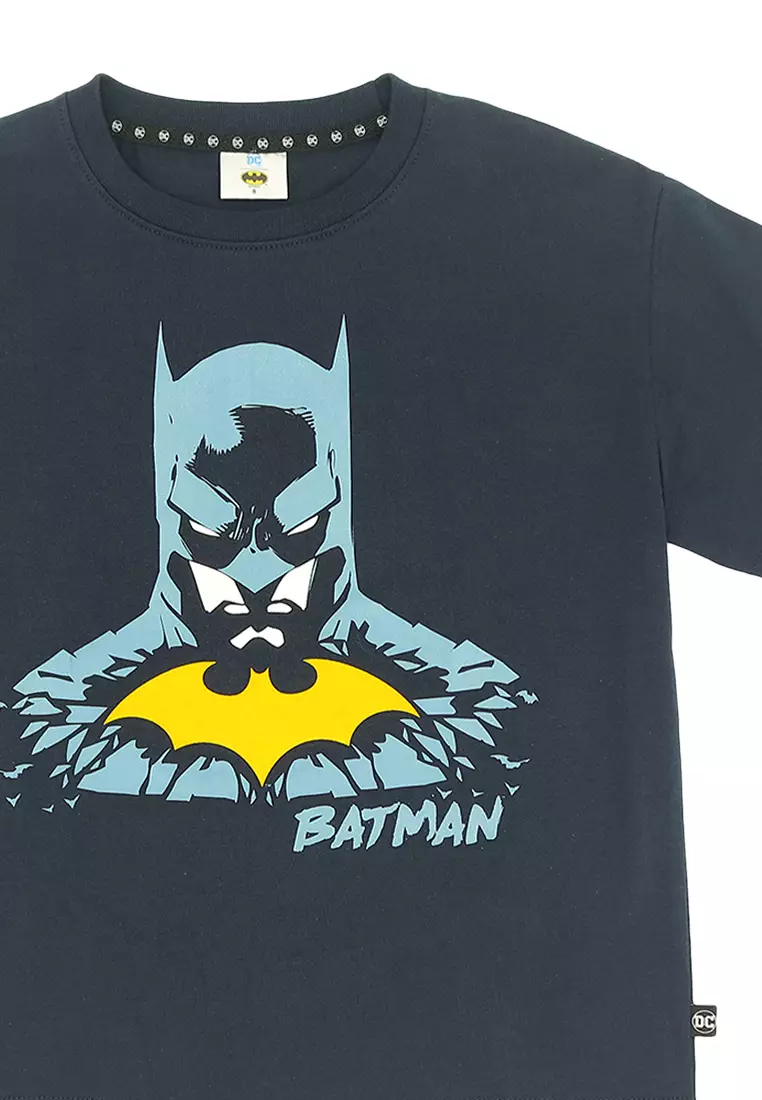 Boys Licensed Graphic T-Shirt Shatter