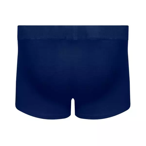 Chameleon Celana Dalam Pria Shorty 2 warna / pack