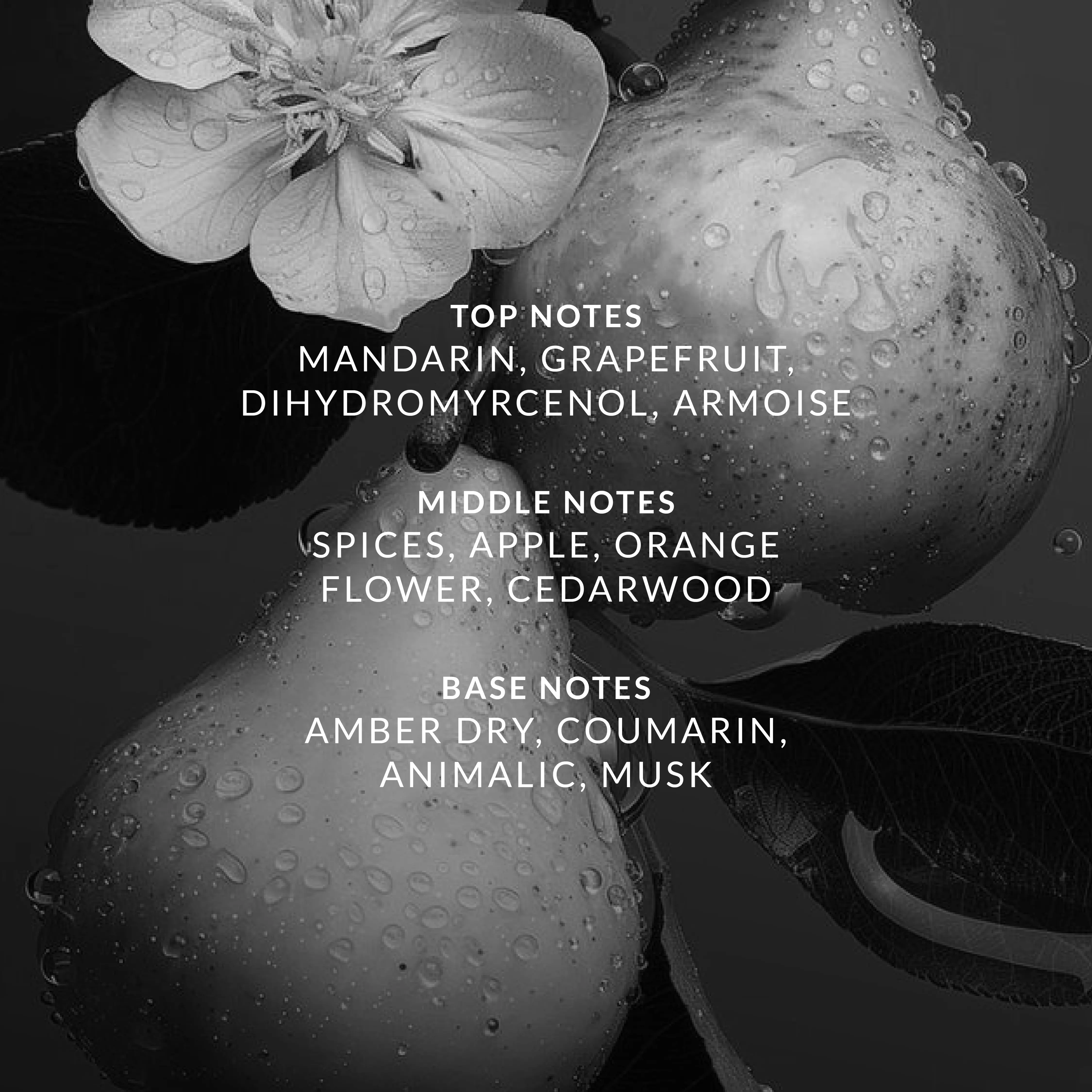 Clone Malé EDP (Inspired By JPG Le Male EDT) 