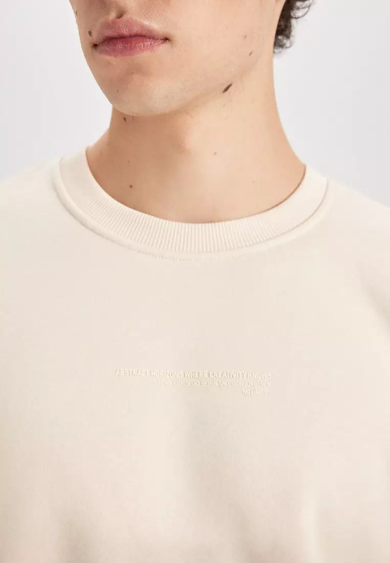 Boxy Fit Crew Neck Printed Sweatshirt