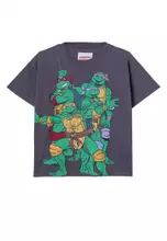 Rabbit Grey/TMNT & Friends