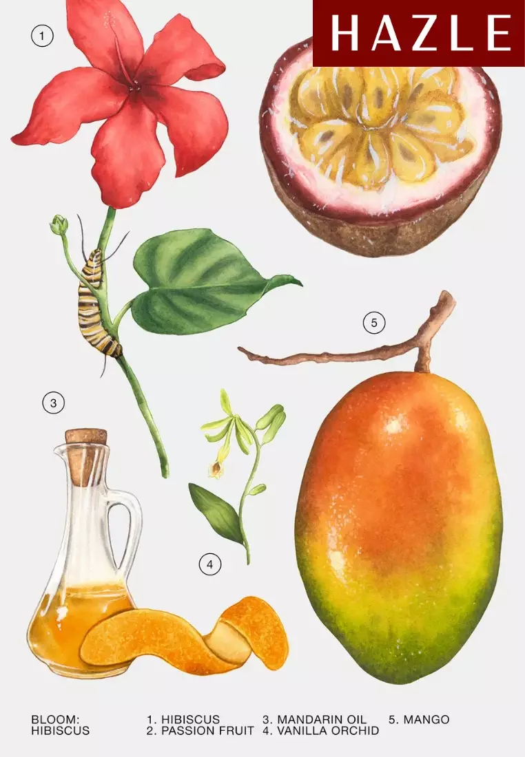 Zara Hibiscus Woman EDP 90 ml