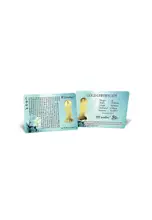 999.9/24K Pure Gold - Guan Yin (1g)