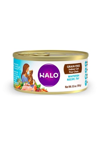 Halo Halo Grain Free Whitefish Recipe Pate for Indoor Cat ( 5.5oz X 12 cans ) 7CD9AES448E5C9GS_1