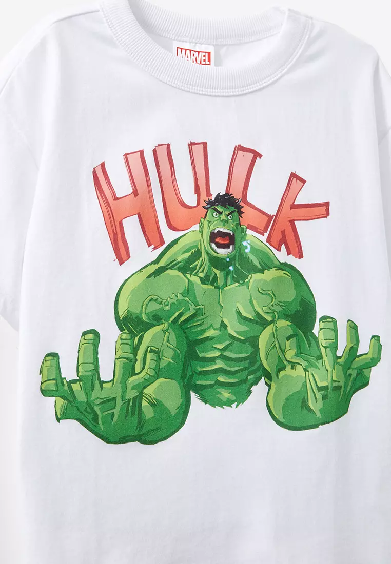 Licensed Drop Shoulder Short Sleeves Tee