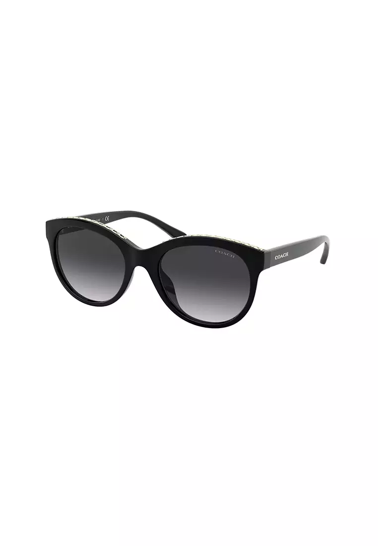 Coach phantos square sunglasses store