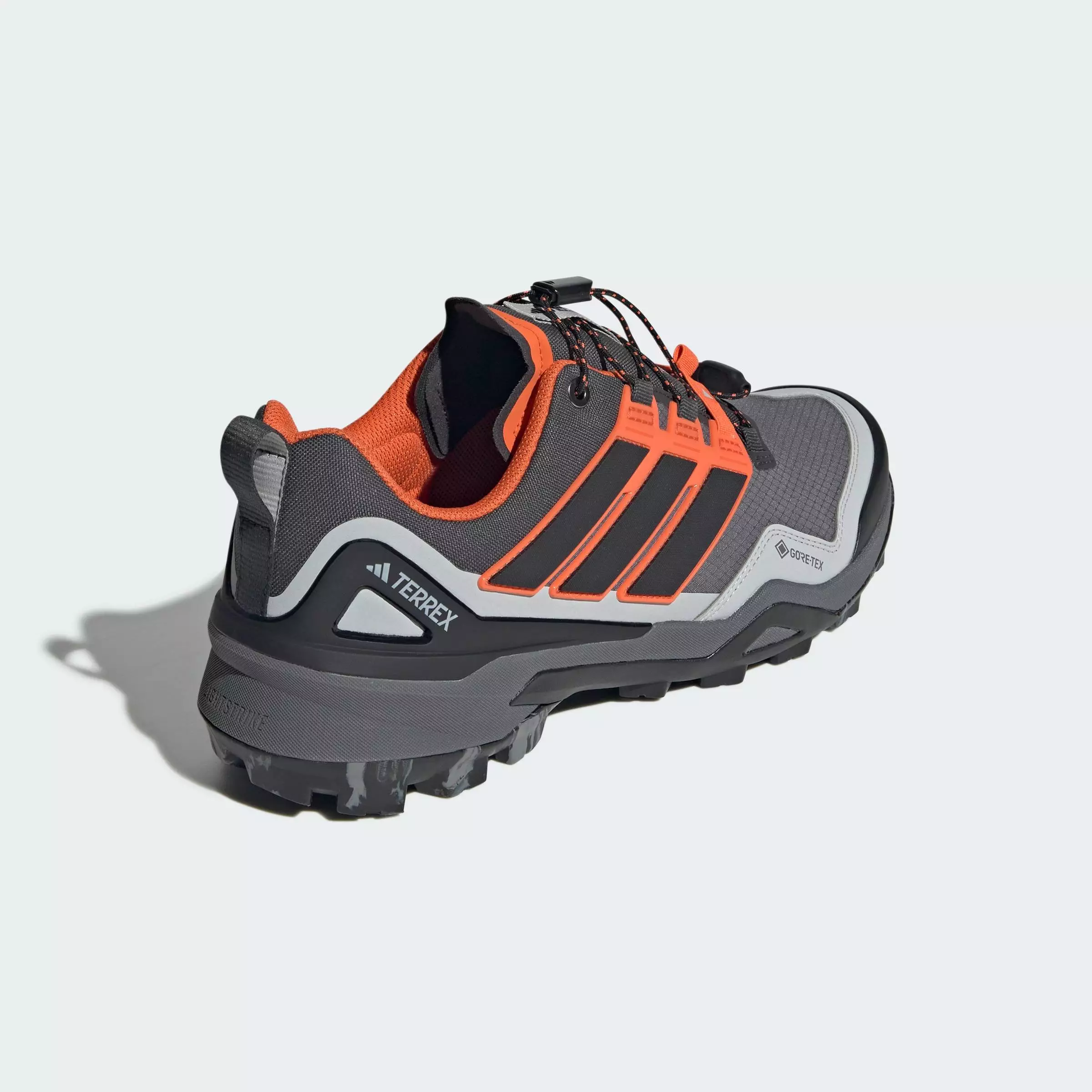 Hiking Terrex Skychaser GORE-TEX Hiking Shoes Men Grey JS4613