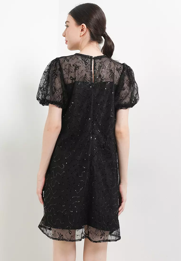 Tulle Detail Puff Sleeve Peakaboo Emb Mesh Dress