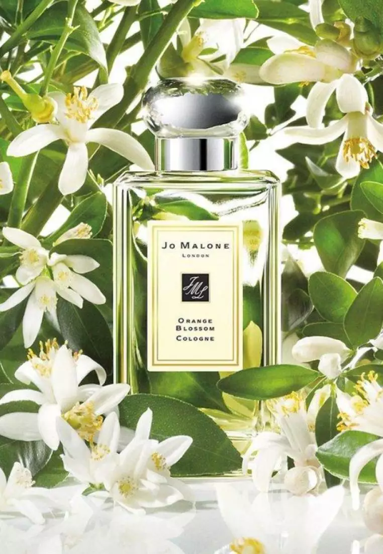Buy Jo Malone Jo Malone Orange Blossom Cologne 100ml 2026 Online