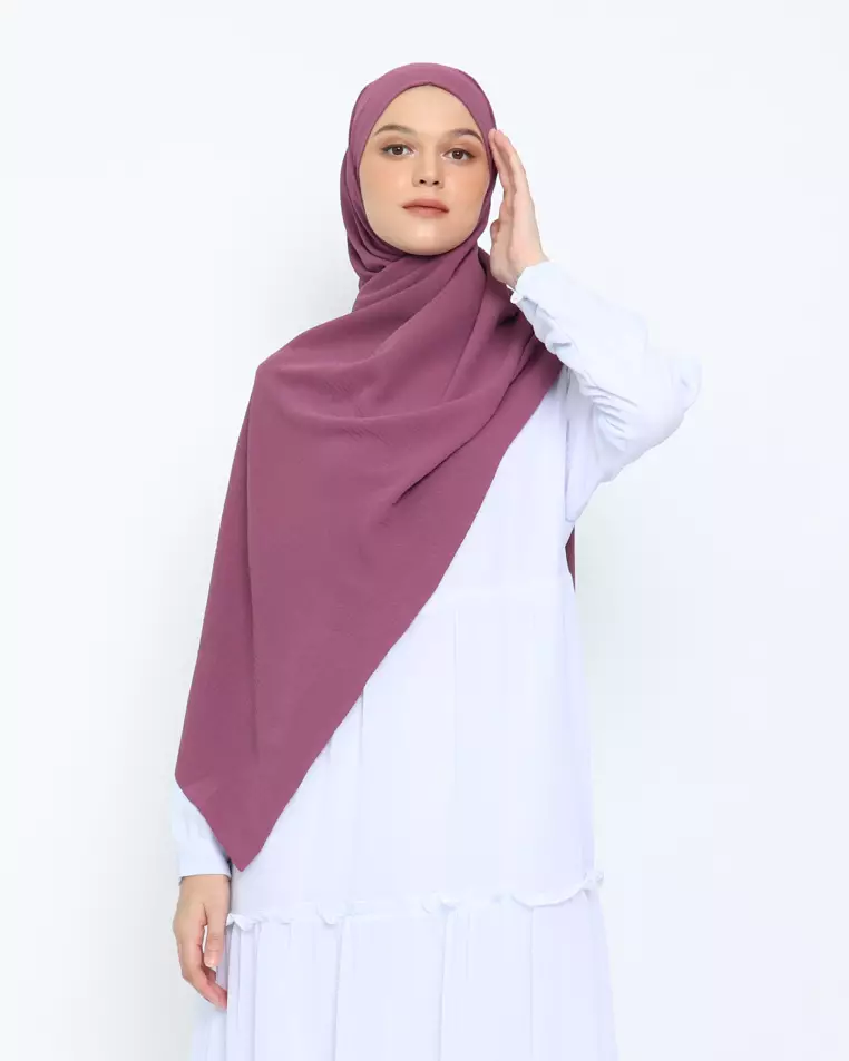 Zamia Pasmina Instan Orchid