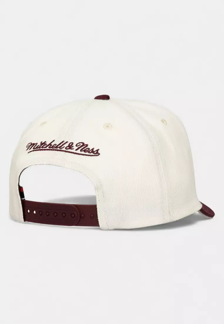 Two-tone Icon Stretch Snap Back Cap