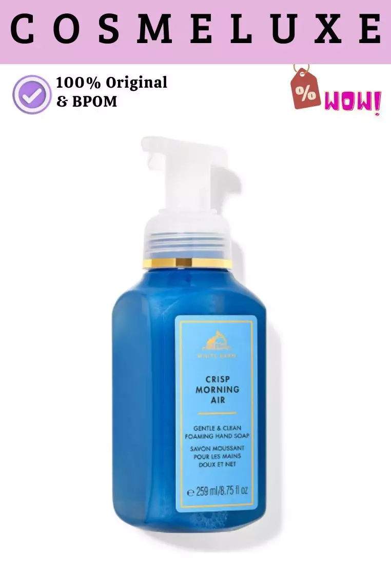 BBW Gentle & Clean Foaming Hand Soap Crisp Morning Air-259ml