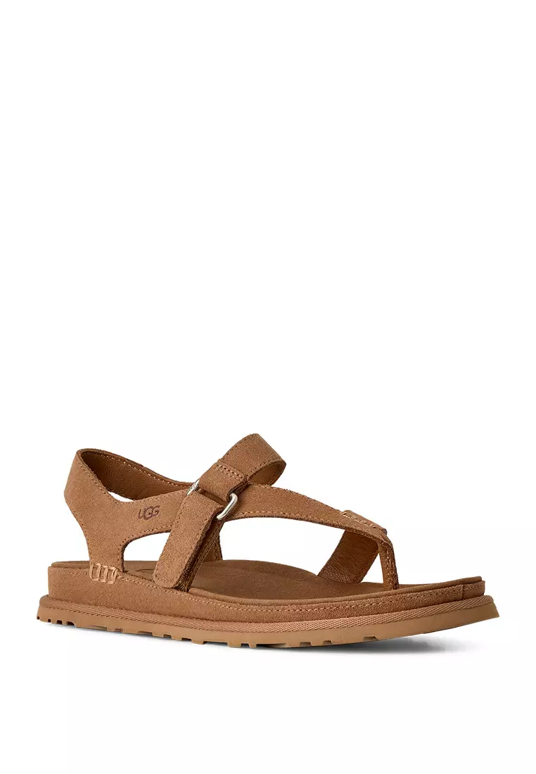 Women's GoldenGaze Toe Post Sandal - Chestnut (1175134-CHE)