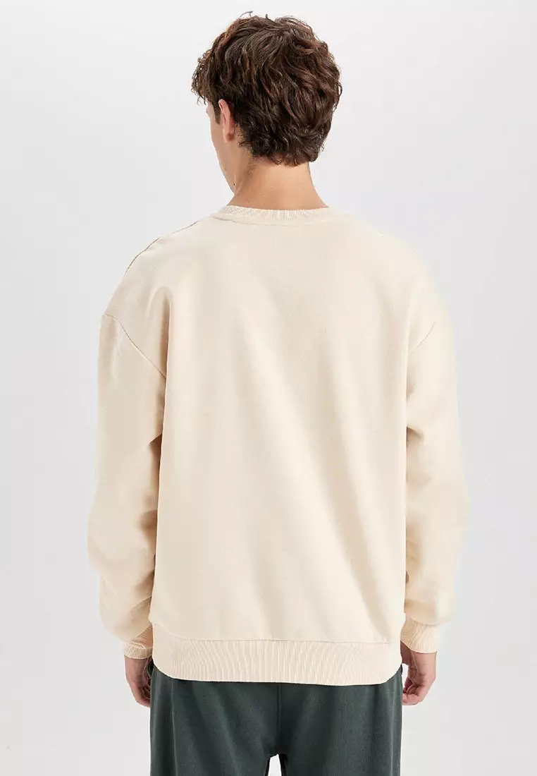 Boxy Fit Crew Neck Printed Sweatshirt