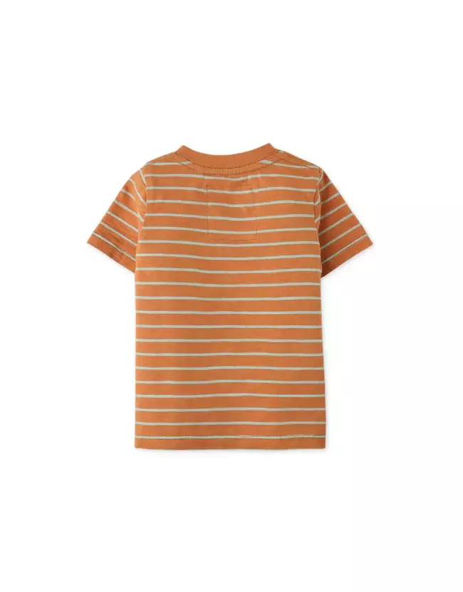 Gingersnaps Baby Amalfi Crush Stripe T-Shirt Orange - Kaos Bayi Laki-laki (Orange)