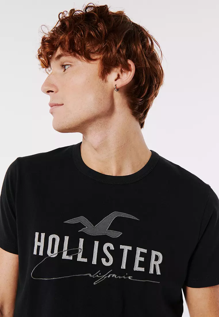 Hollister Applique Logo Graphic Tee 2023 Buy Hollister Online