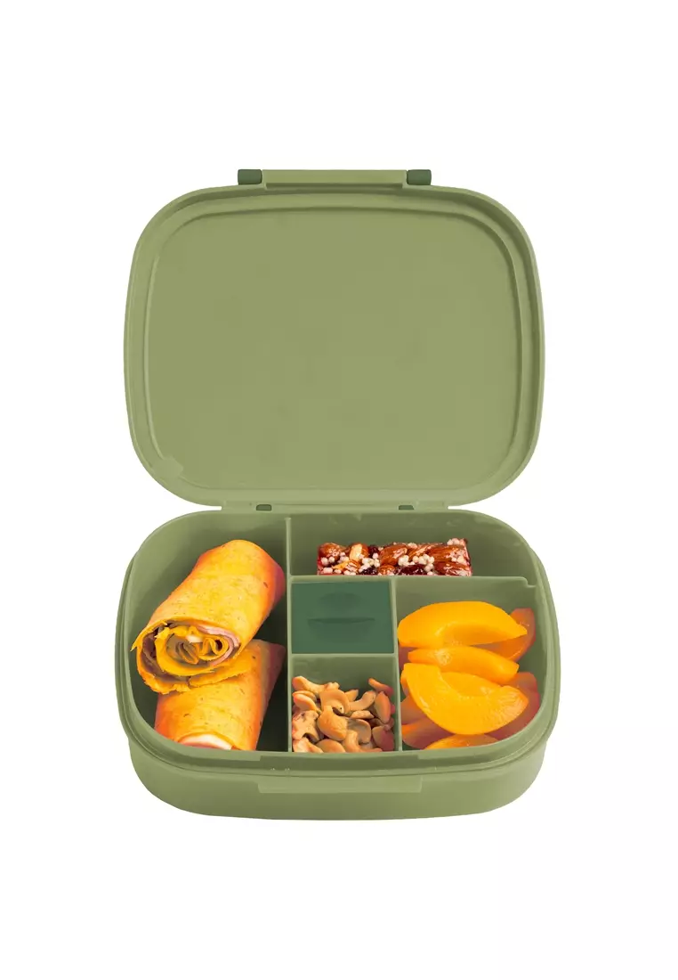 New Bento Box with Removable Tray Farm