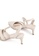 Milliot & Co. beige Eda Pointed Toe Heels 51C38SHBDFBE65GS_3