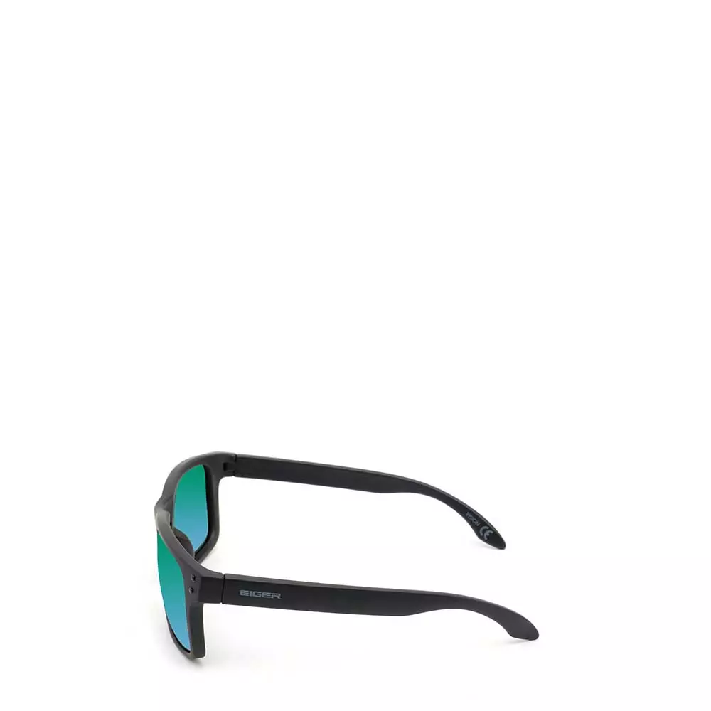 Eiger Vision Sunglasses