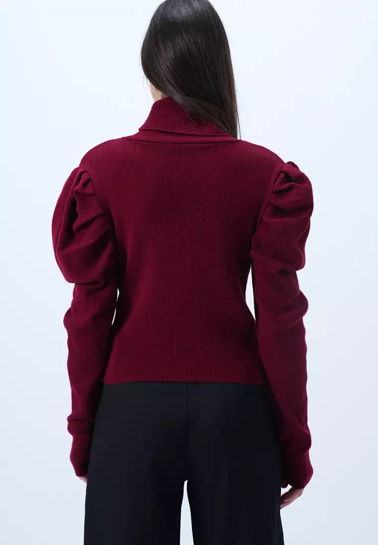 Turtleneck Princess Sleeve Sweater