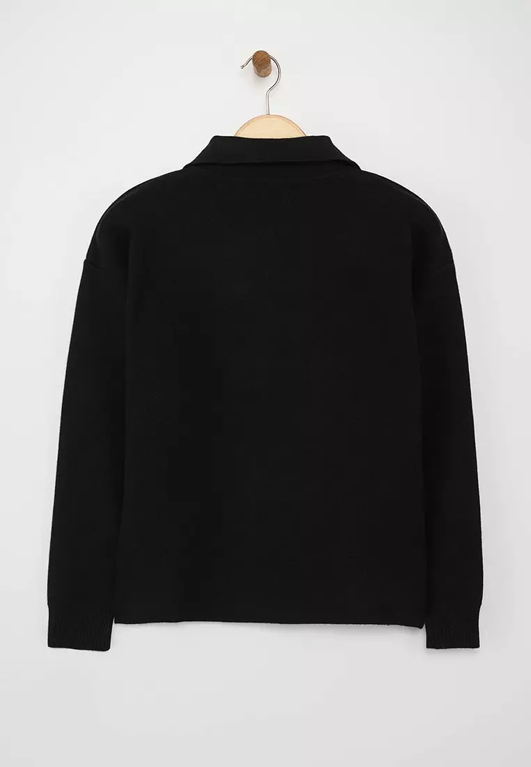 Black*001 Premium/Special Yarn Polo Collar Plain Knitwear Sweater