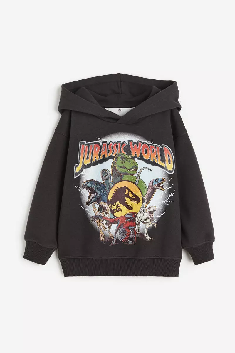 Jurassic Park Printed hoodie