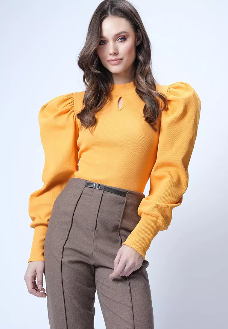 Long Puff Sleeves Top