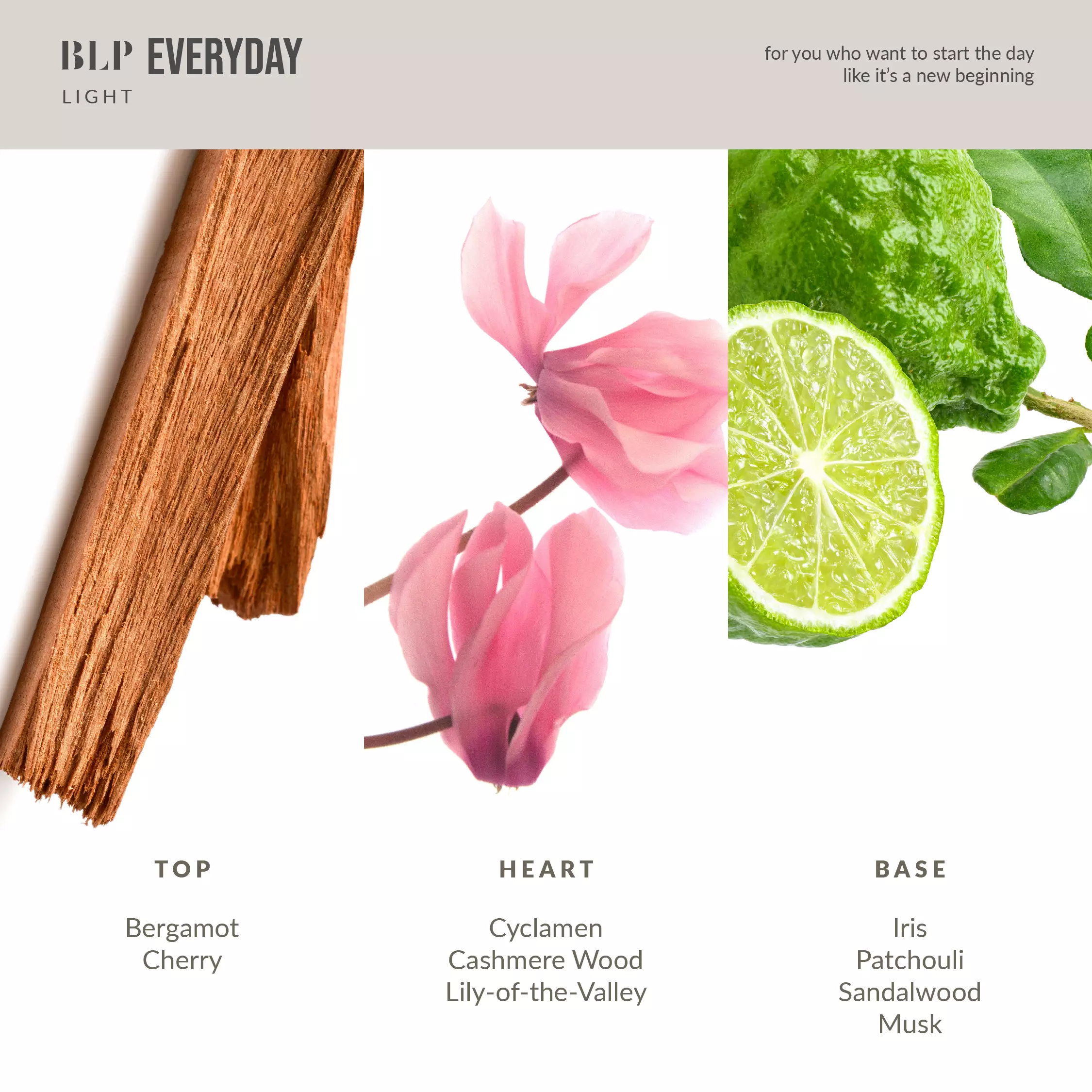 BLP Everyday - Light - Eau de Parfum (EDP) - 50ml