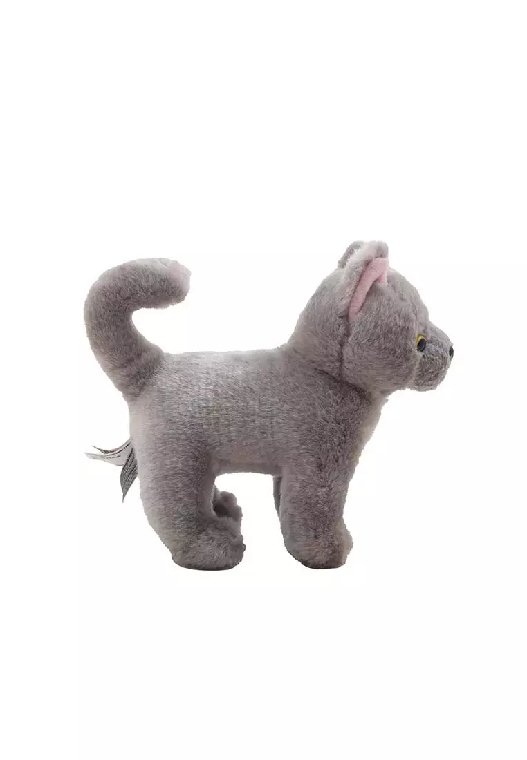 Chartreux 8 Inch