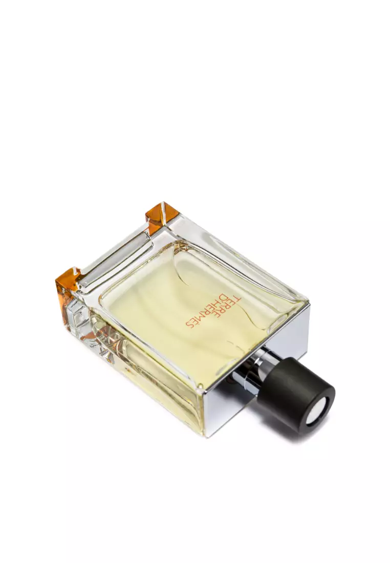 HERMES Terre d'Hermès Eau De Toilette Natural Spray for Men 100ml