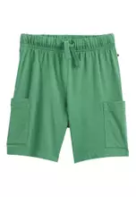 Arctic Green