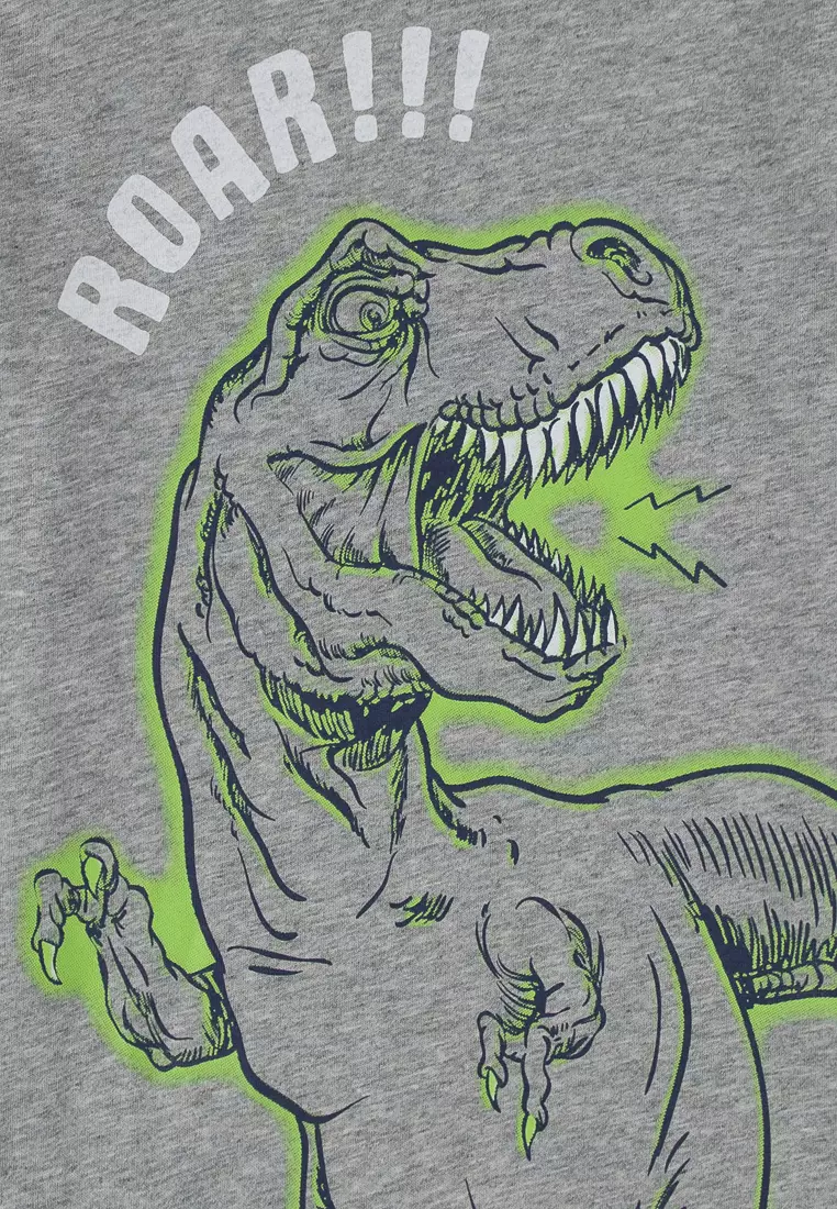 Boys' Dinosaurs T-Shirt