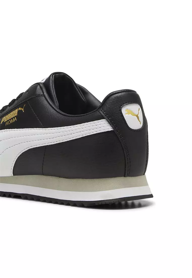 Roma 24 Standard