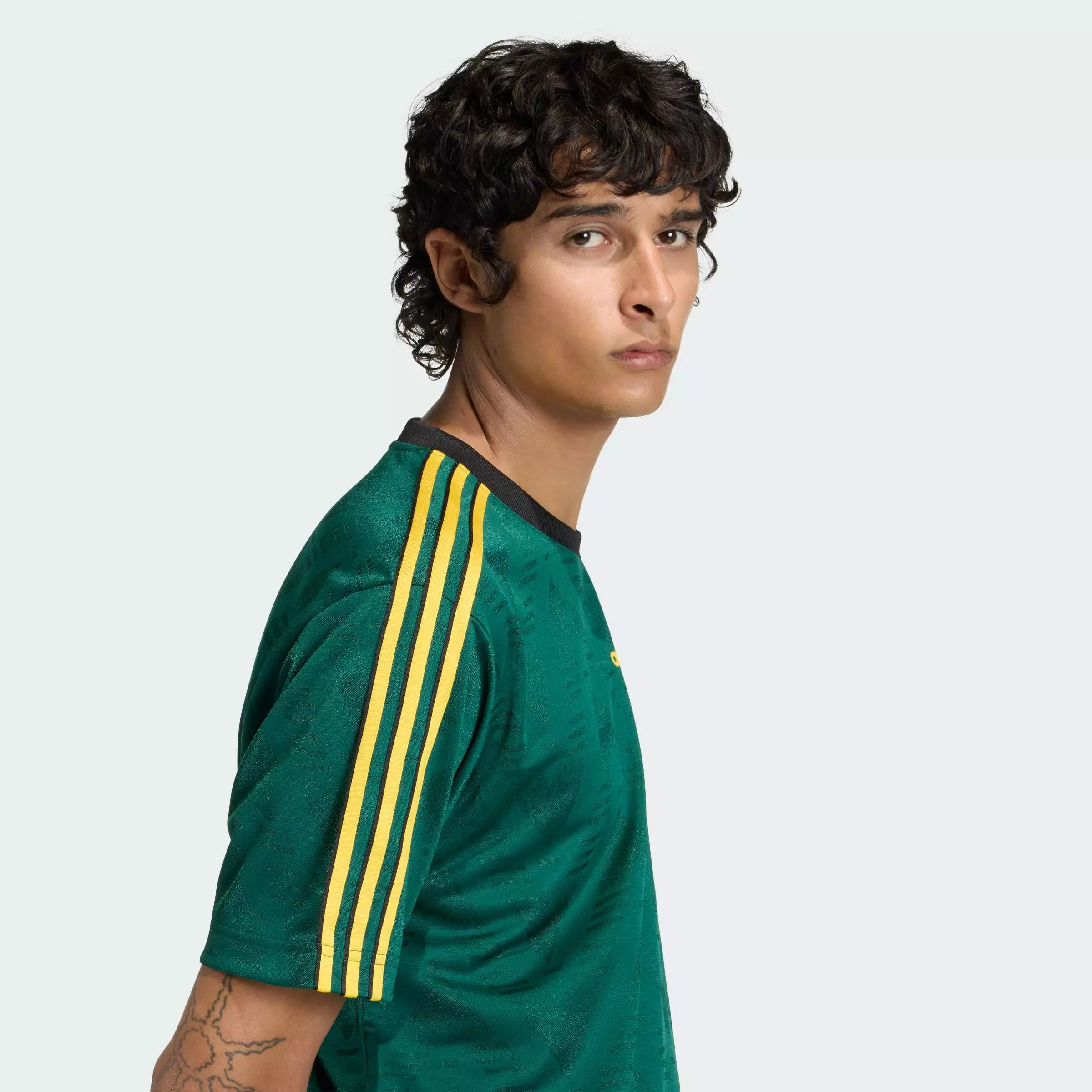 Lifestyle JACQUARD JERSEY Men Green KE3337