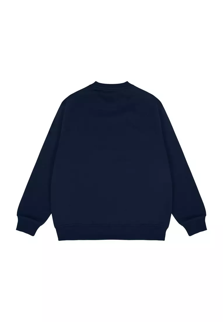 Greenlight Men's Jacket Crewneck Sweatshirt Regular Fit Fleece Sky Playlist OL-C080425