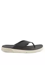 Greyish Black
