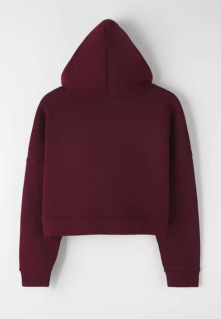 Zippered Hooded Casual Cut Crop Thick Fleece Knitted Sweatshirt