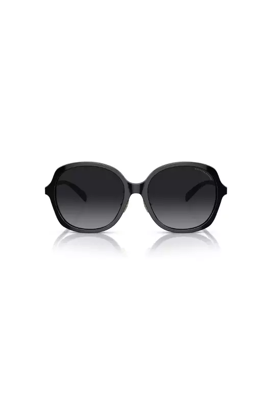 Women's Square Frame Black Acetate Sunglasses - HC8360F