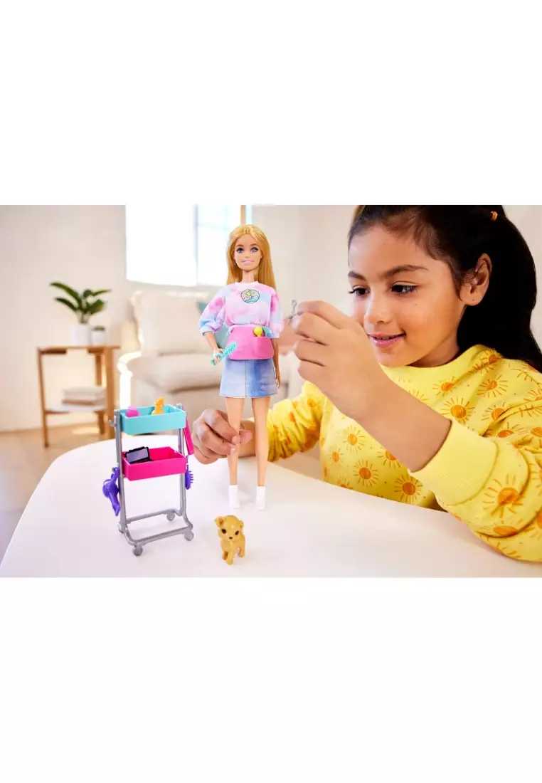 Amazon Barbie Set Online Doll Set In Amazon Online