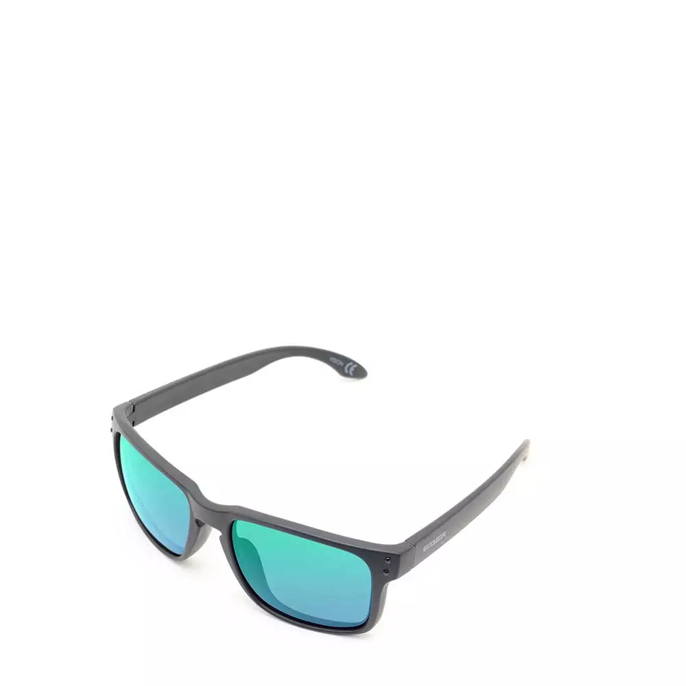 Eiger Vision Sunglasses