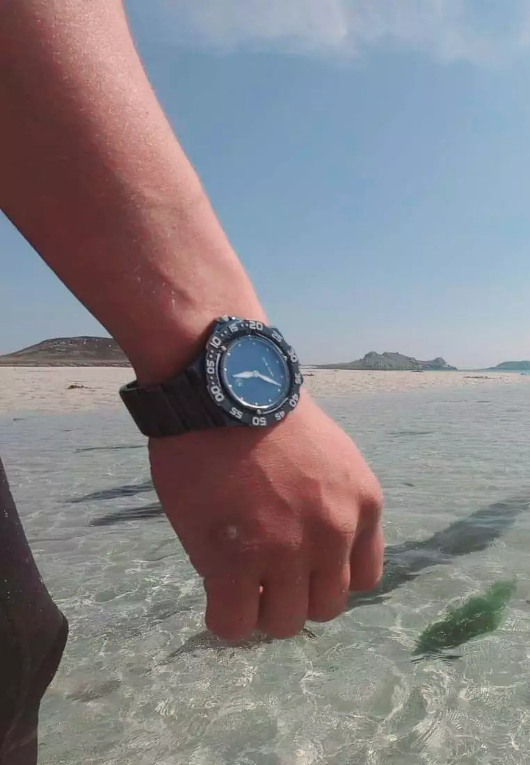 Quartz hot sale dive watch