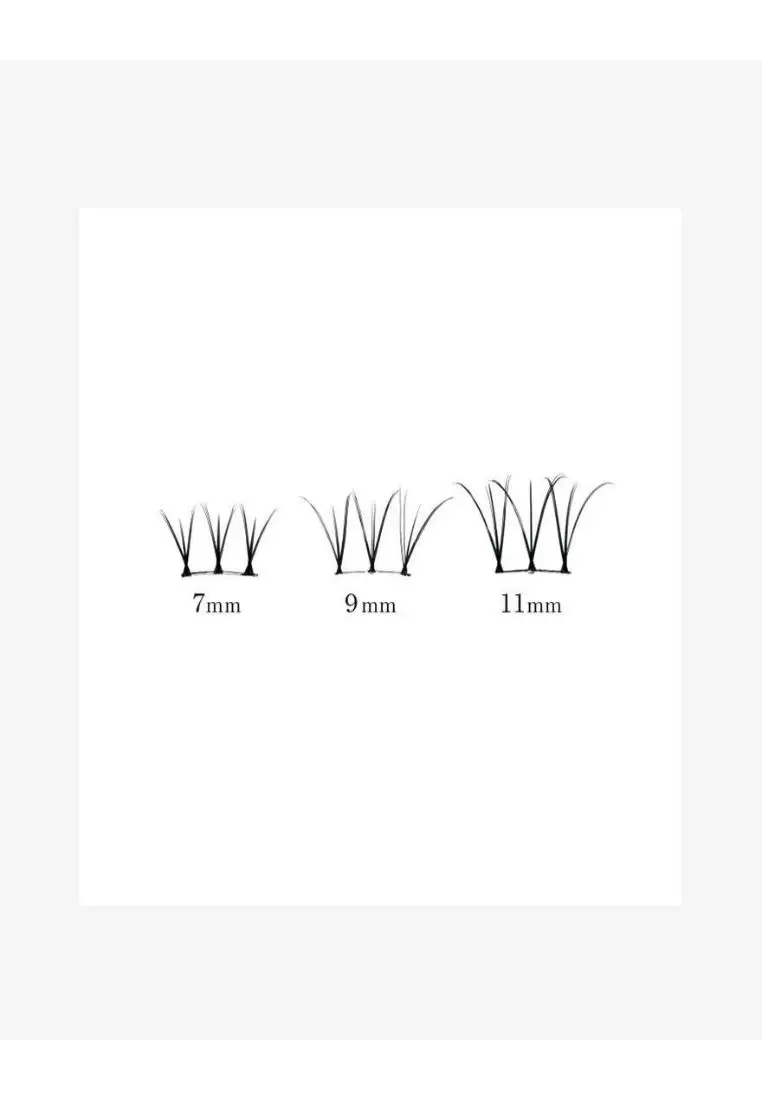 d-up lashes 02 Quick Extension