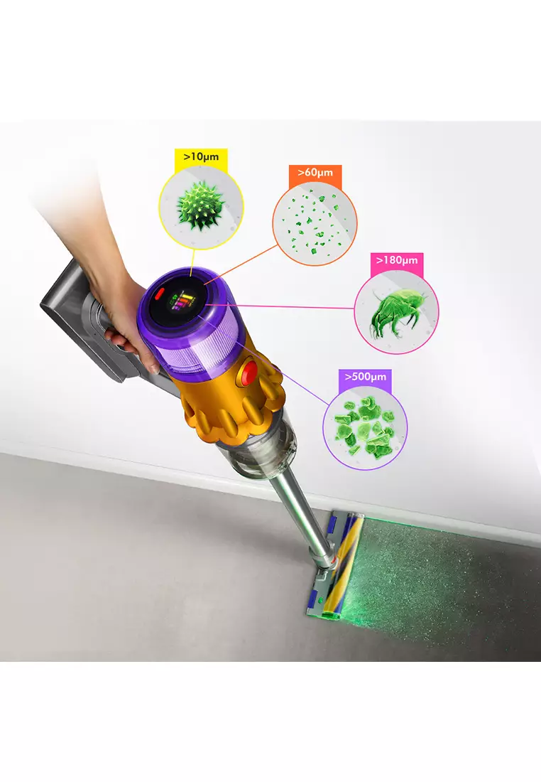 Buy Dyson Dyson V12 Detect Slim ™ Fluffy Cordless Vacuum